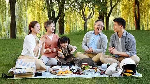 Woman playing with cat